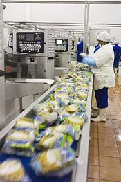 Production Line - Retail product