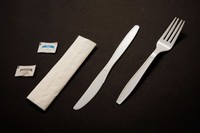 Meal Kit Heavy Weight Polystyrene Kits - 250 Casepack