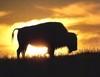 News image for Morning Roundup 11/9/11